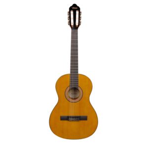 Valencia%2BSeries%2BGuitar