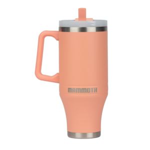 Ascent%2B40%2Boz%2BTumbler%2Bwith%2Bhandle