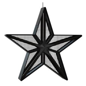 3+lbs.%2C+Large+Barn+Star+Sunflower+Feeder