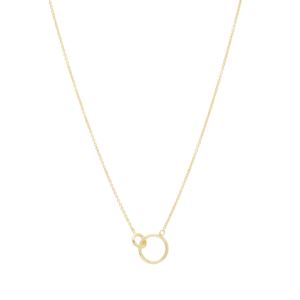Wilshire+Charm+Necklace+Gold