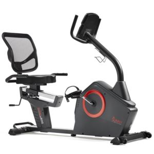 Smart+Programmable+Electro-Magnetic+Resistance+Recumbent+Exercise+Bike