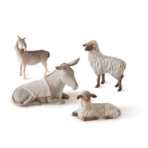 Sheltering+Animals